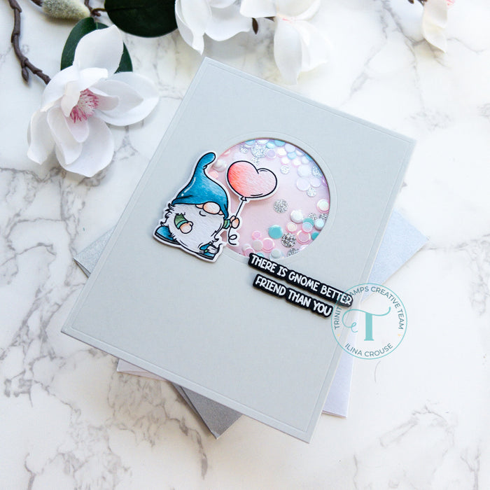 My One and Gnomely 4x6 Stamp Set