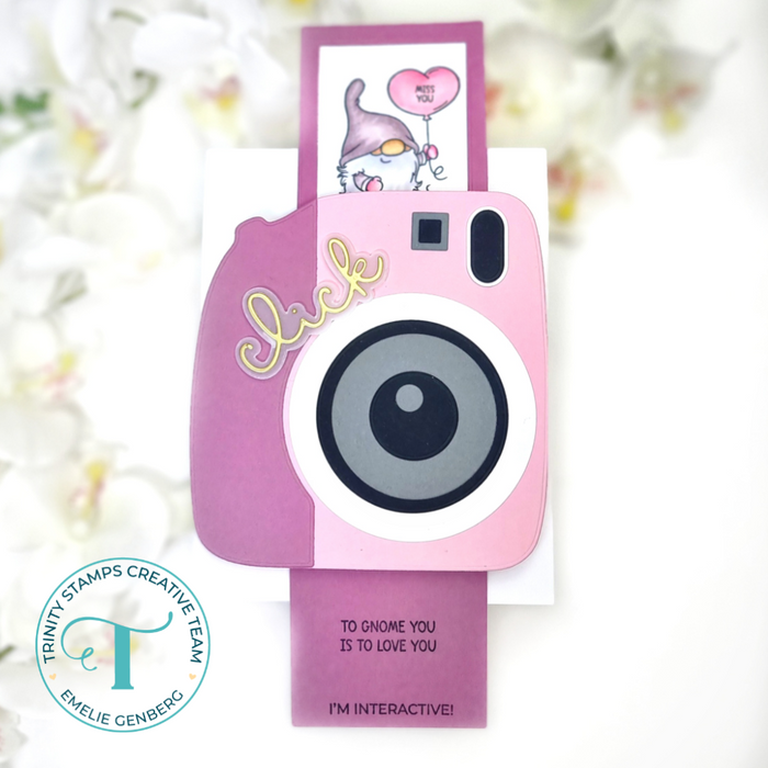 My One and Gnomely 4x6 Stamp Set