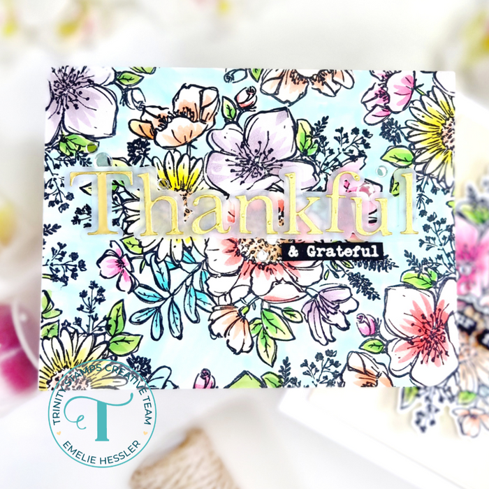 Sketchy Florals 4x6 Stamp Set