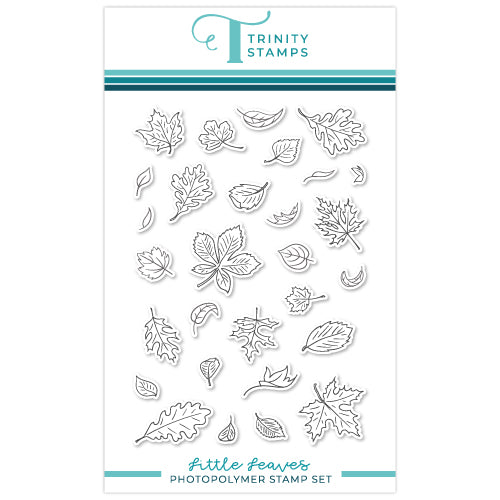 Little Leaves 4x6 Stamp Set