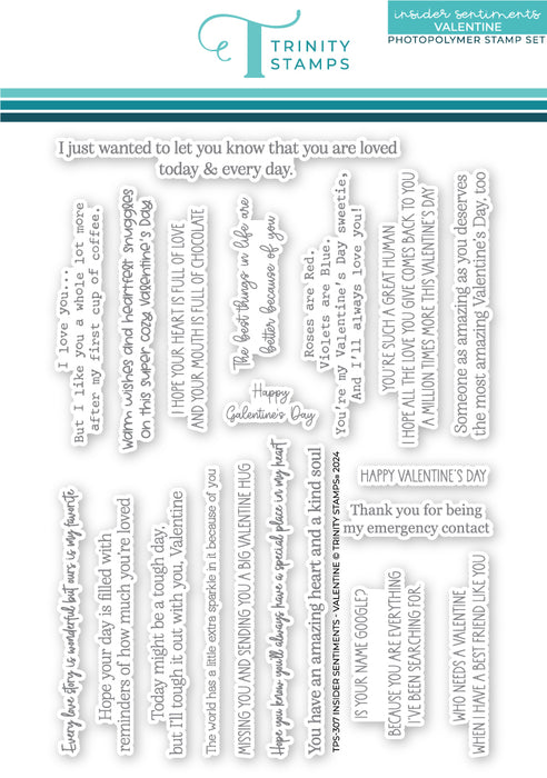 Insider Sentiments - Valentine 6x8 Stamp Set
