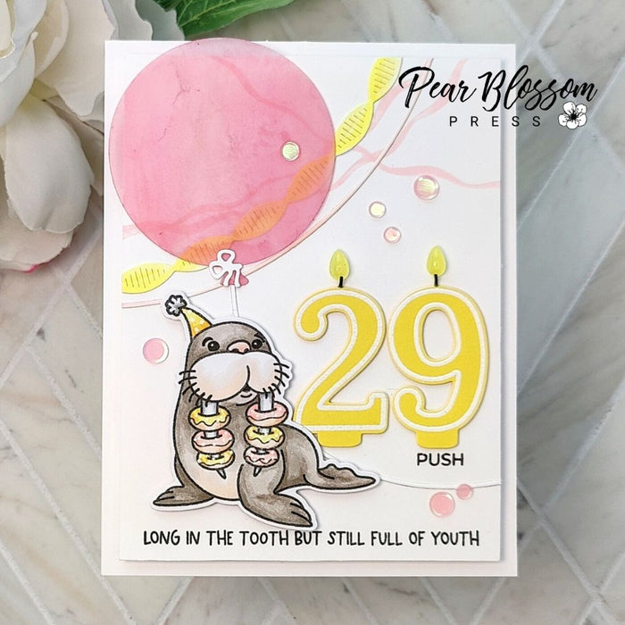 Number Candles - 4x6 Stamp Set