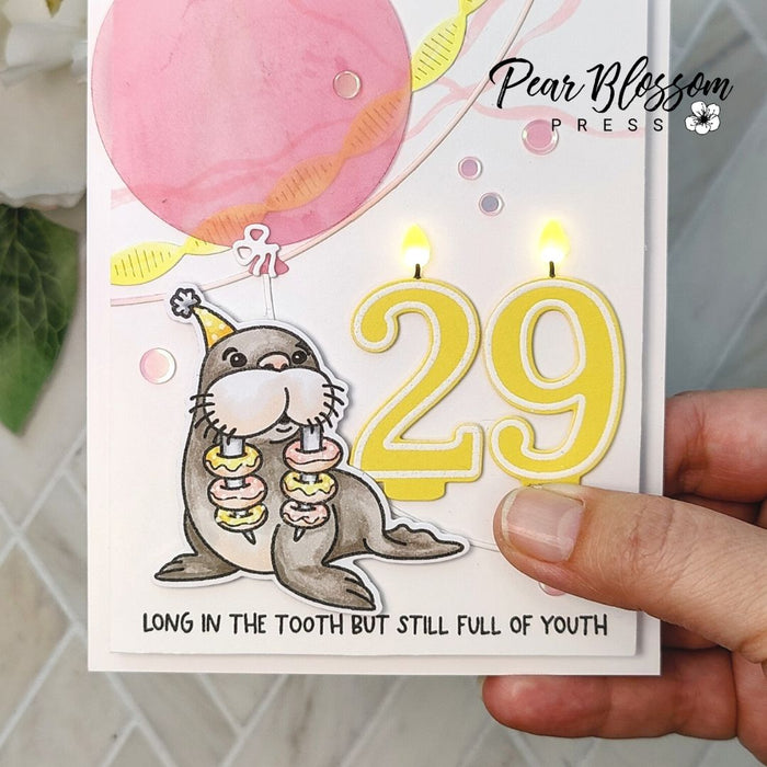 Number Candles - 4x6 Stamp Set