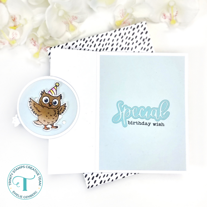 Simply Sentimental - Special 4x8 Stamp Set