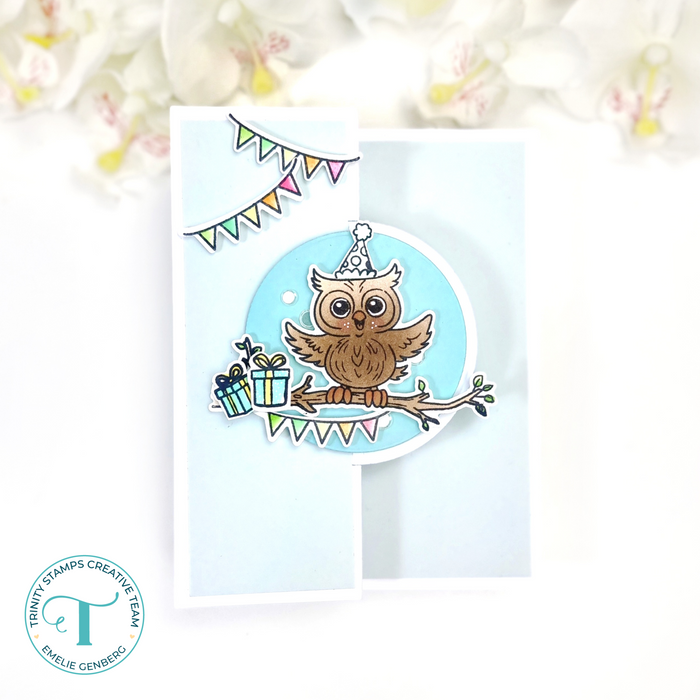 Hoot Hoot Hooray 4x8 Stamp Set