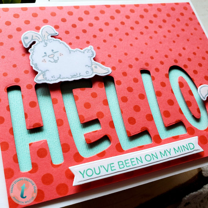 A Sentiment For (almost) Everything 4x8 Stamp Set