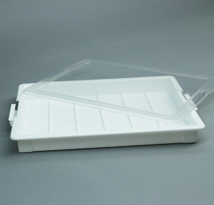 Embellishment Storage Tray