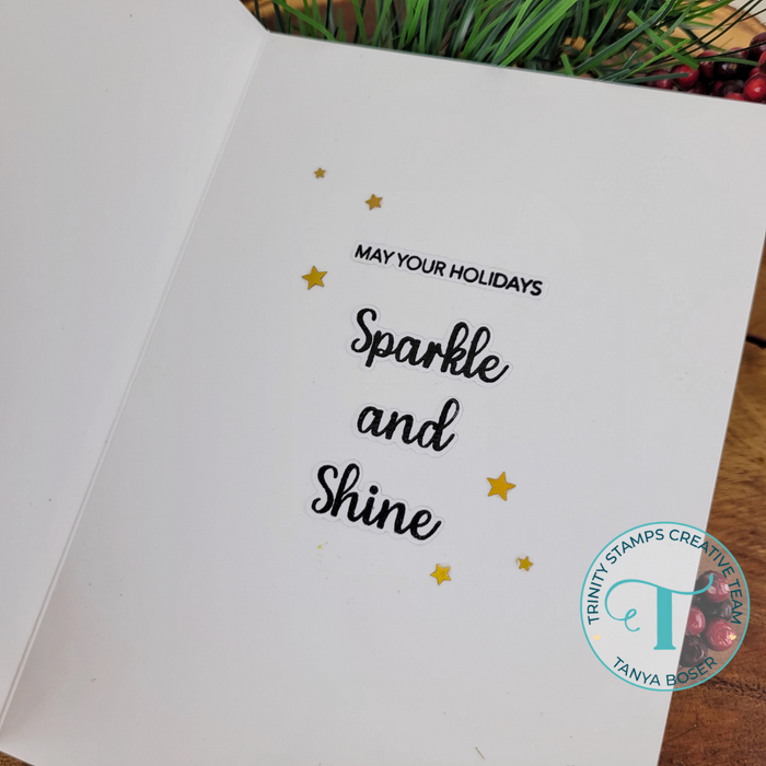 Sparkle Season 4x6 Stamp Set