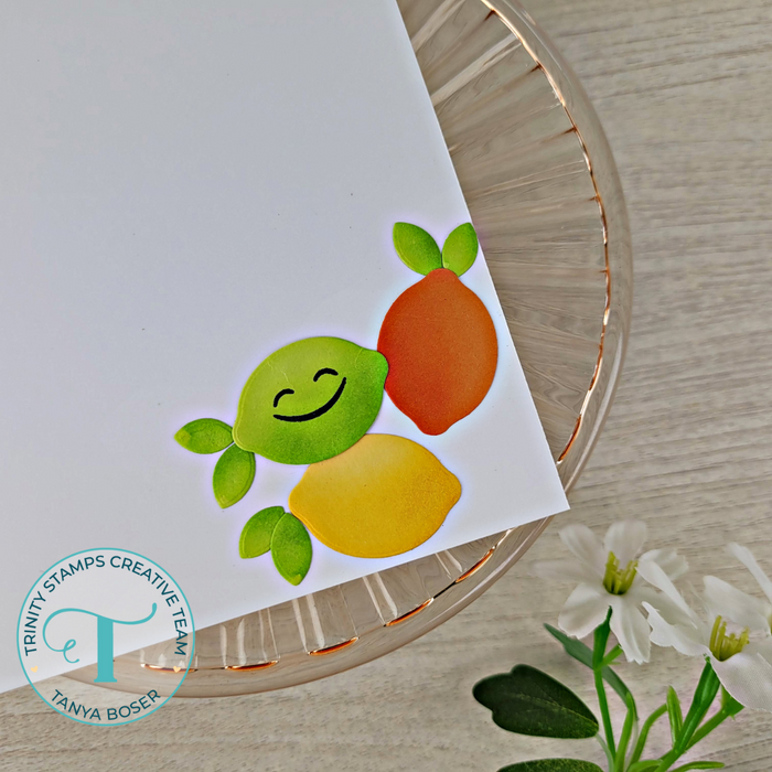 Zest Wishes 3x3 Stamp & Coordinating Die Bundle