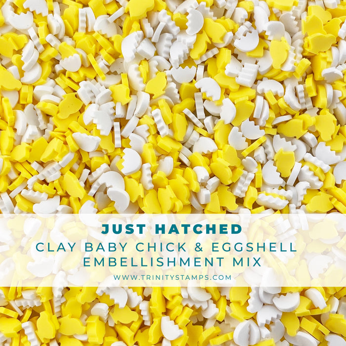 *Last Chance* Just Hatched Clay Embellishments