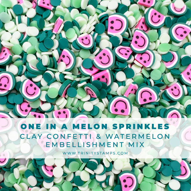 *Last Chance* One in a Melon Clay Embellishments