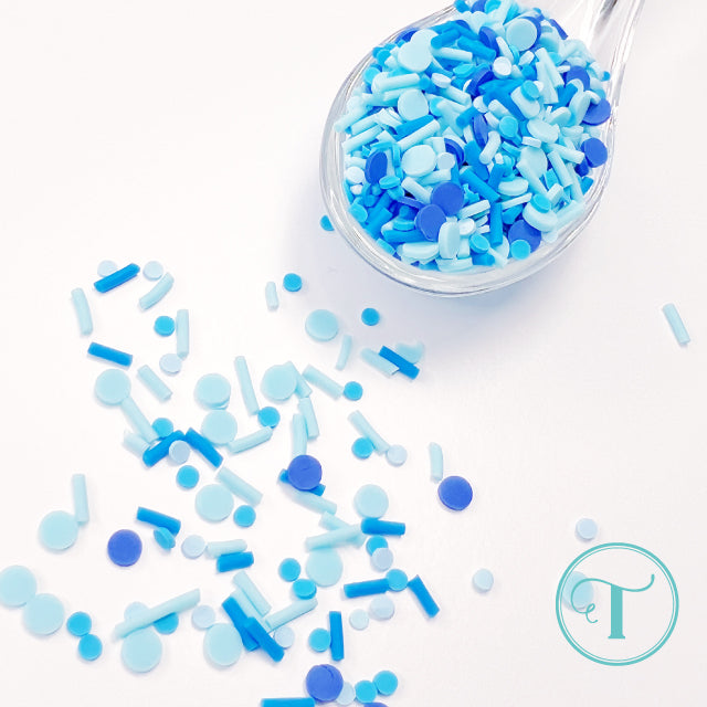 *Last Chance* Blueberry Sprinkles Clay Embellishments