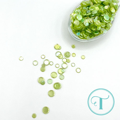 *Last Chance* First Sprout Confetti