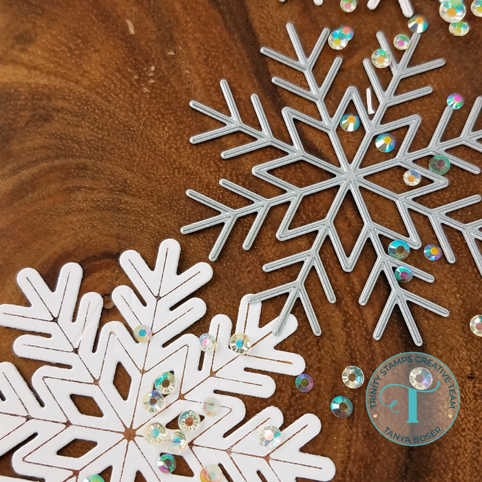 Big Snowflake Cut & Foil Die Set