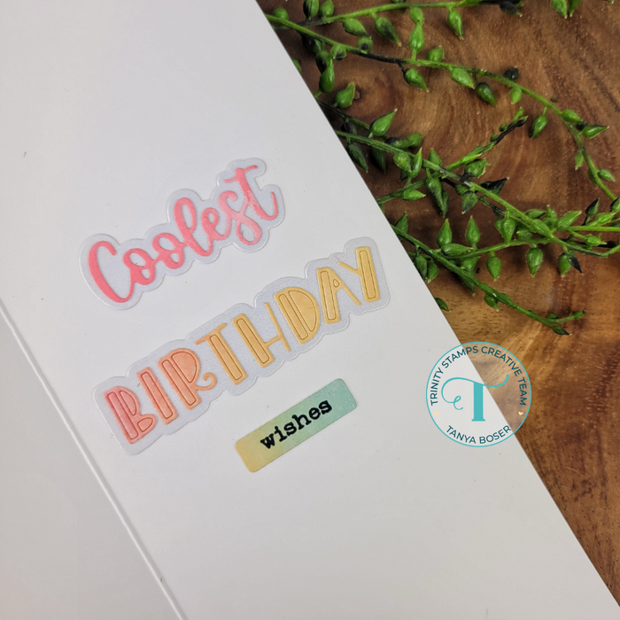 Simply Sentimental - Birthday 4x8 Stamp Set
