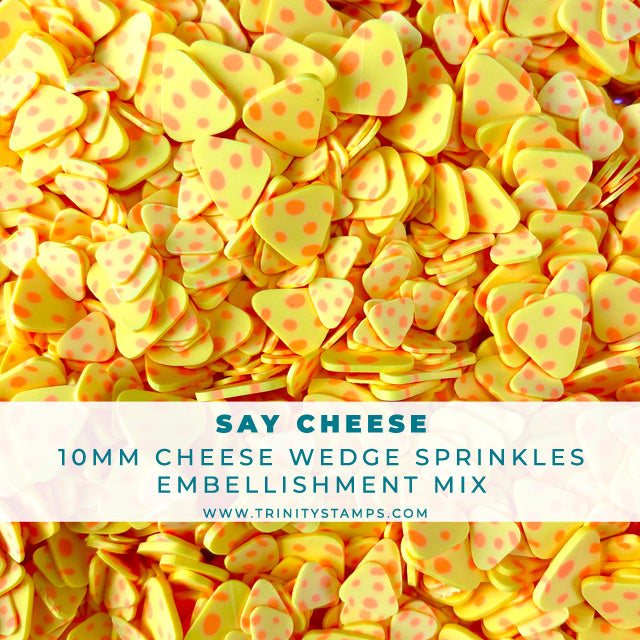 Say Cheese Clay Embellishments