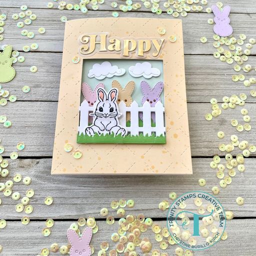 Baby Bunny 4x6 Stamp Set