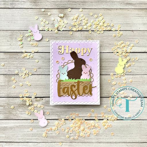 Chocolate Bunny Embossed Detail Die Set