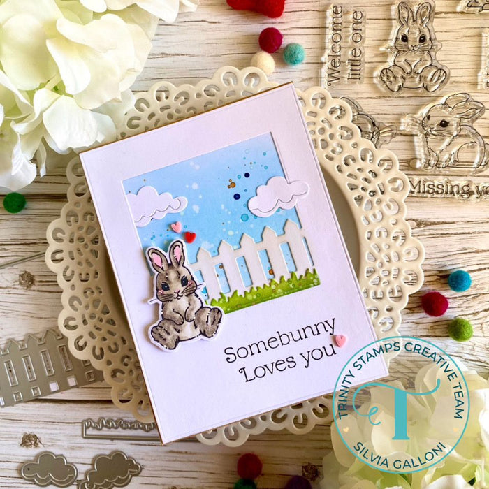 Baby Bunny 4x6 Stamp Set