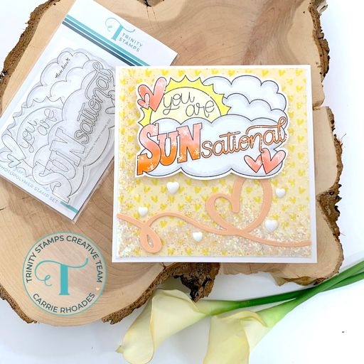 Sunsational 3x4 Stamp Set