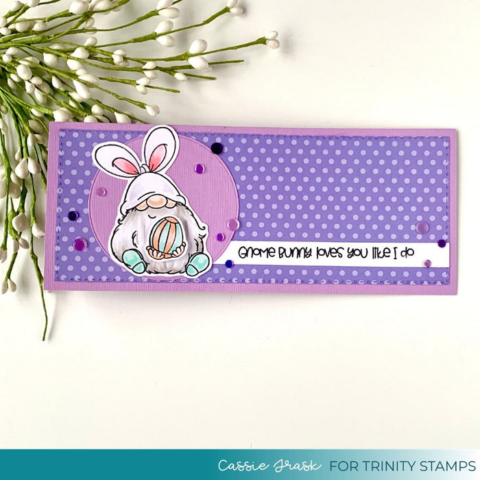 Gnome Bunny 4x6 Stamp Set